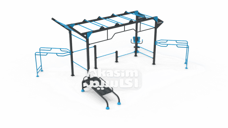 Calisthenics